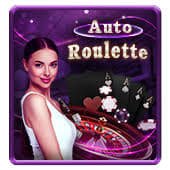 bigwin casino